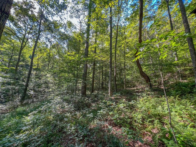 30129 Stevens Branch Road, Londonderry, OH 45647 Photo 24