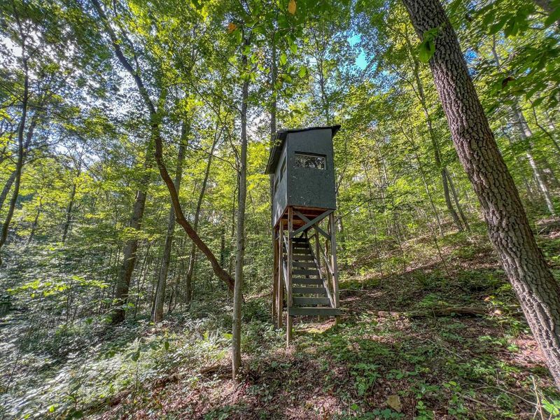 30129 Stevens Branch Road, Londonderry, OH 45647 Photo 25