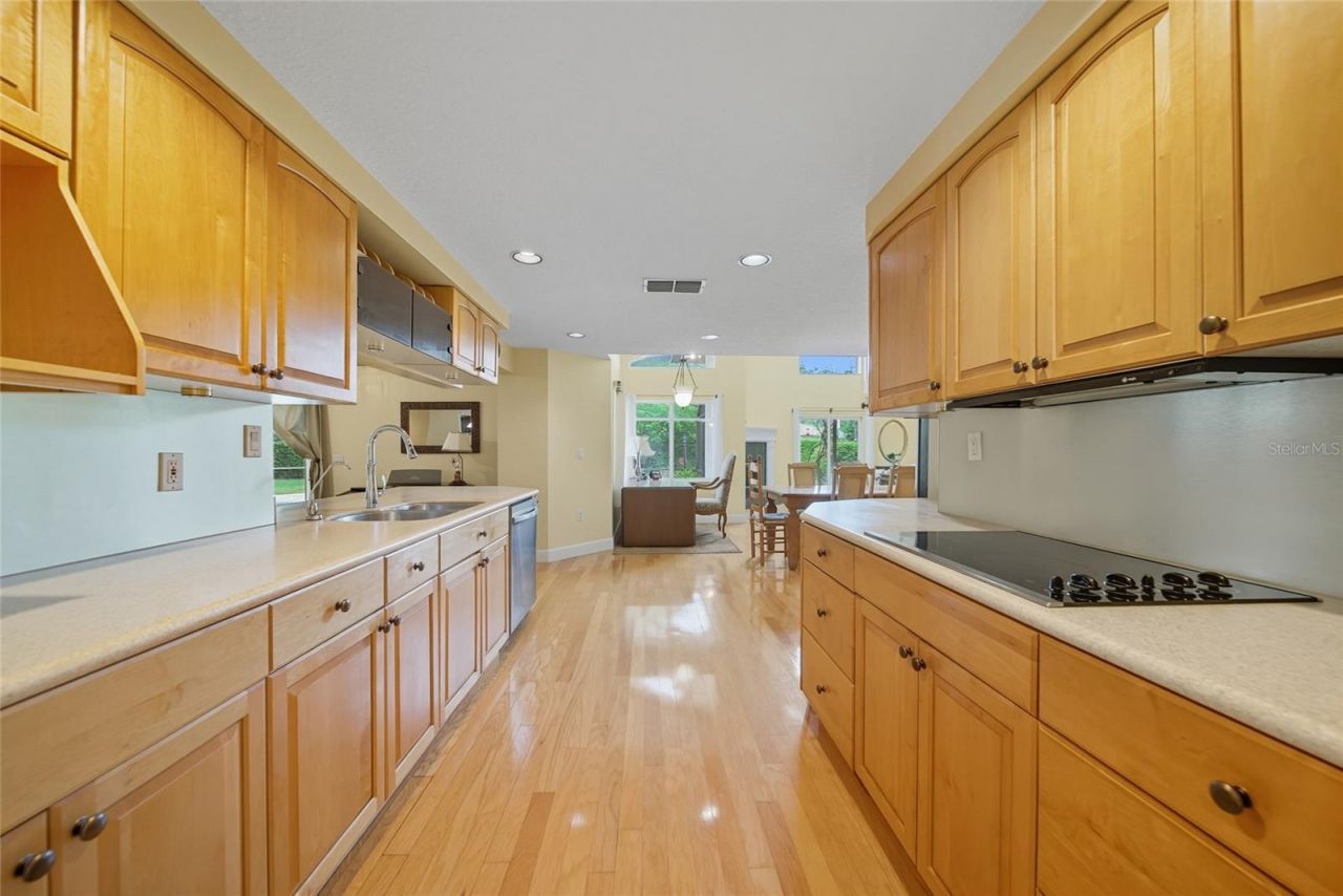 15507 N Himes Avenue, Tampa, FL 33618 Photo