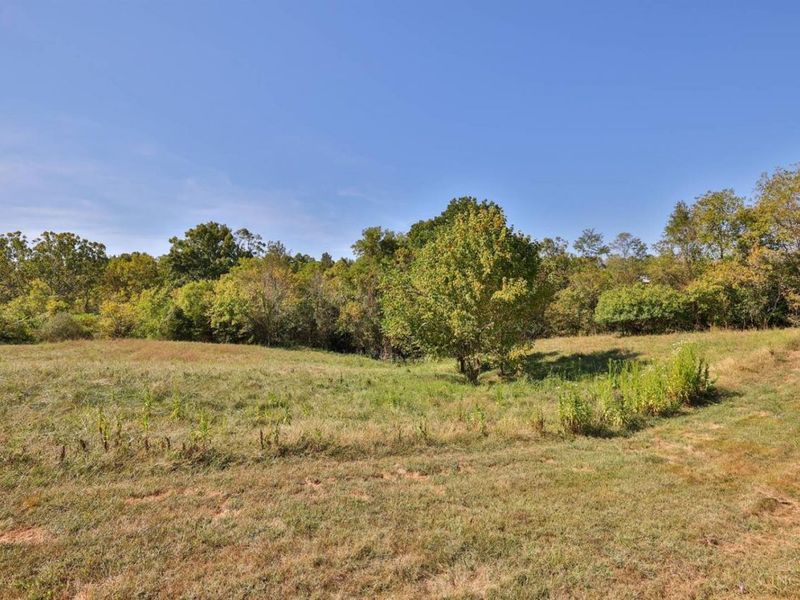 403 Felicity Higginsport Road, Franklin Twp, OH 45120 Photo 42