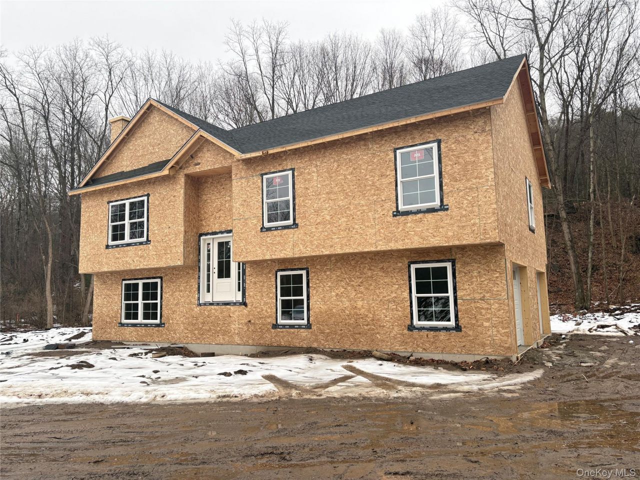 20 Neversink Drive, Port Jervis, NY 12771 Main Photo