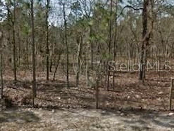 142ND STREET, WILLISTON, FL 32696