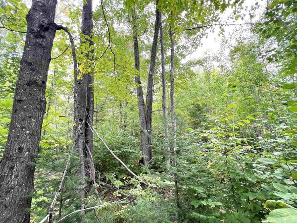 5.56 acres On Star Lake Road, Crandon, WI 54520