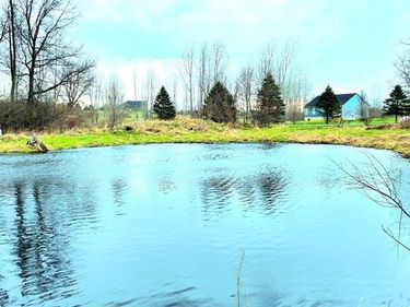 9860 Iosco Ridge Drive, Iosco Twp, MI 48137