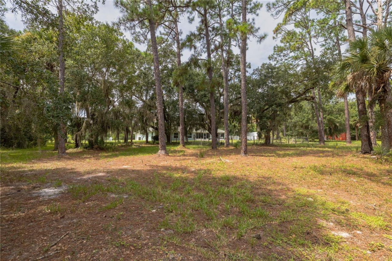 4245 Clinton Cemetery Road, Edgewater, FL 32141 Photo