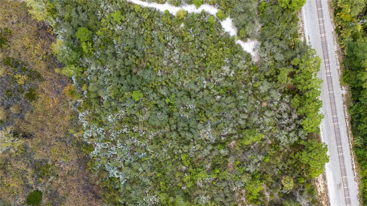 4245 Clinton Cemetery Road, Edgewater, FL 32141 Photo