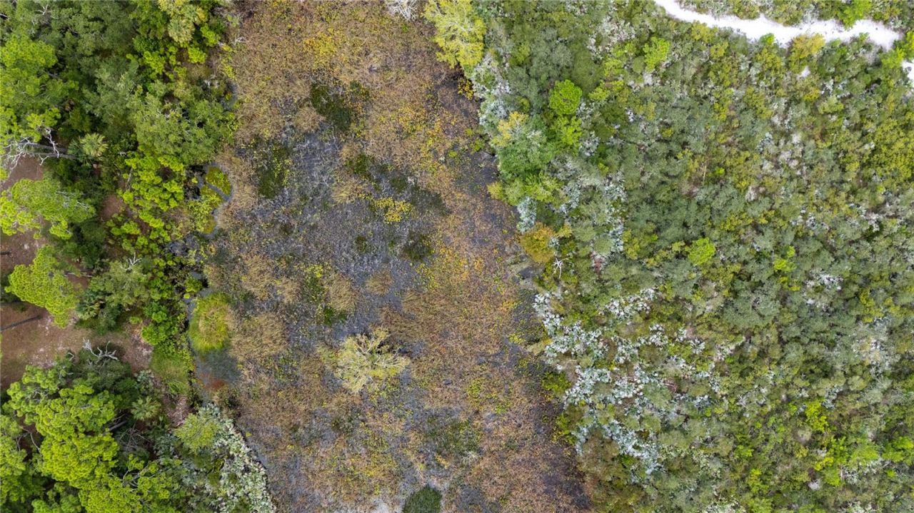 4245 Clinton Cemetery Road, Edgewater, FL 32141 Photo