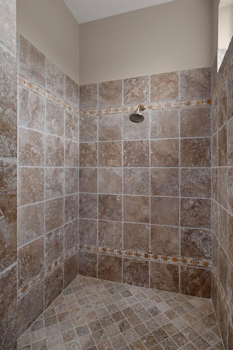 963 Cypress Cove Way, Tarpon Springs, FL 34688 Photo