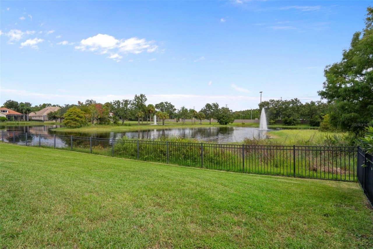 963 Cypress Cove Way, Tarpon Springs, FL 34688 Photo