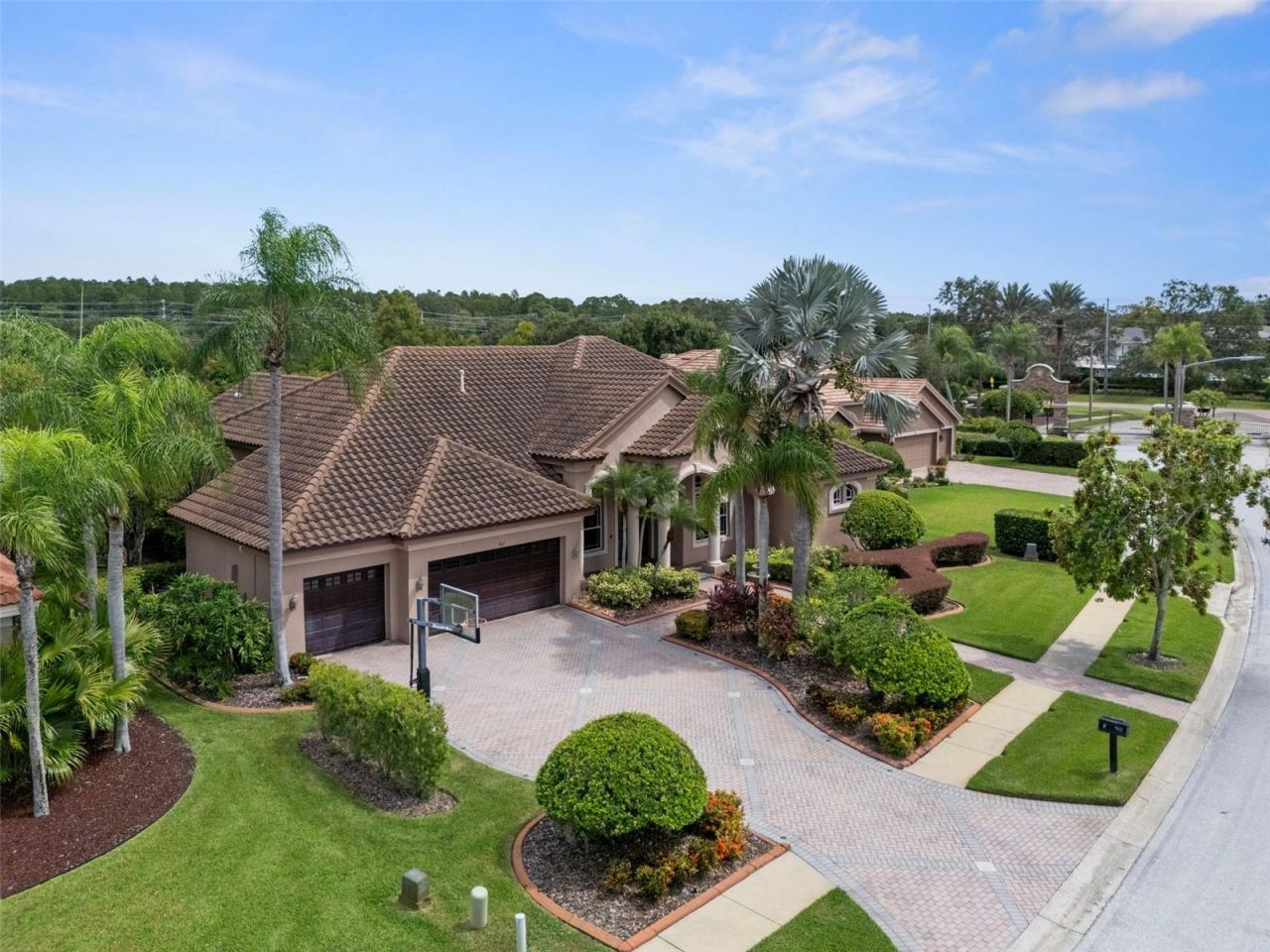 963 Cypress Cove Way, Tarpon Springs, FL 34688 Photo