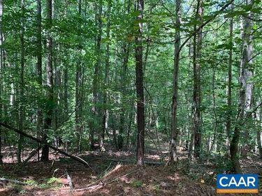 GREENFIELD RD, Unit 3 LOTS, 30, TYE RIVER, VA 22922
