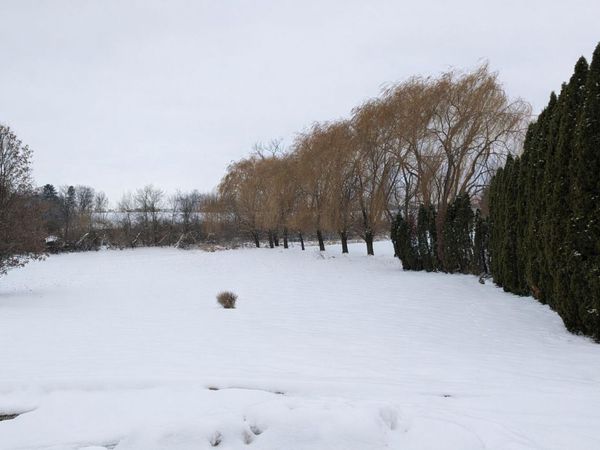 7873 E 99th Lane, Crown Point, IN 46307