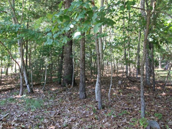 105 Wilbourn Drive, Crossville, TN 38558