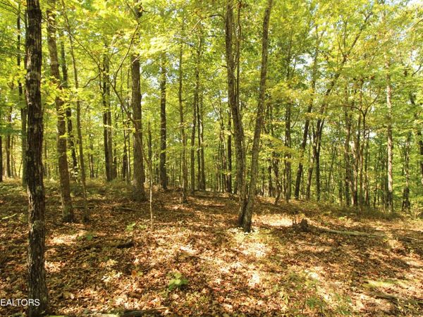 323 Rotherham Drive, Crossville, TN 38558