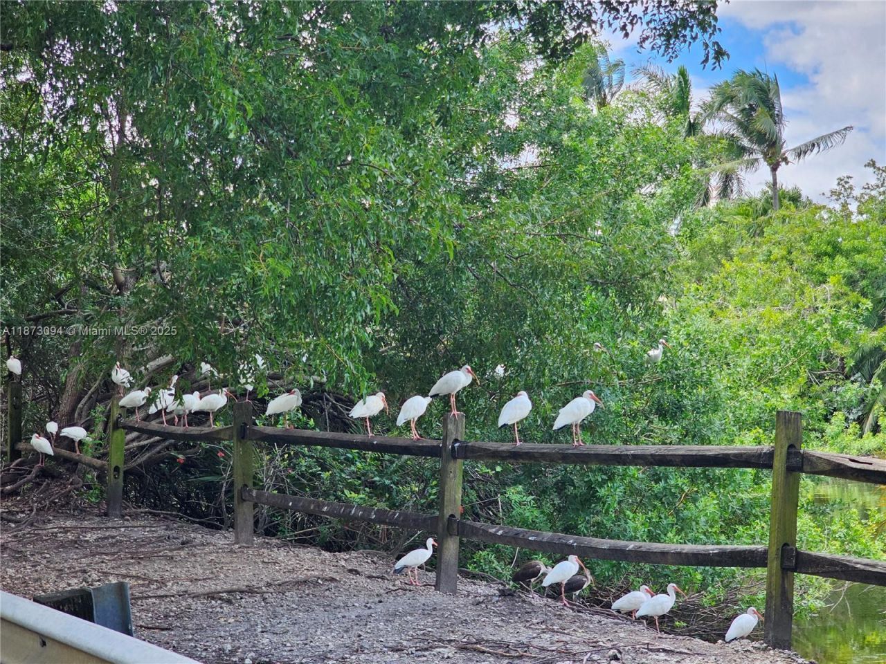 20400 W Country Club Dr, Unit 315, Aventura, FL 33180 Photo