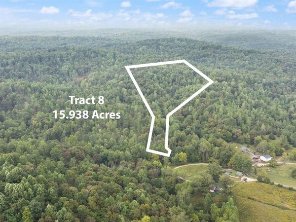 Tract 8 Frenchman Knob Road, Bonnieville, KY 42713