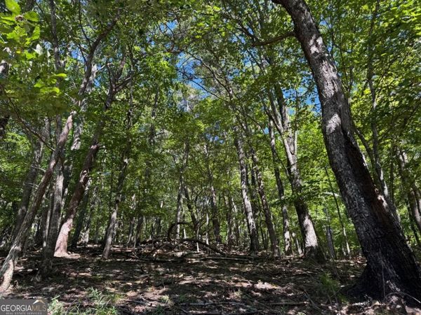 0 Moss Patch Trail, Jasper, GA 30143