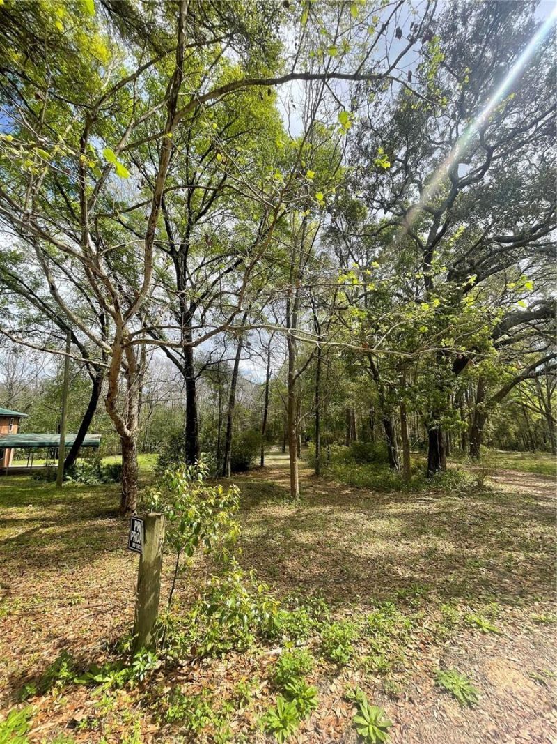 121 Sweet Gum Drive, Melrose, FL 32666 Photo