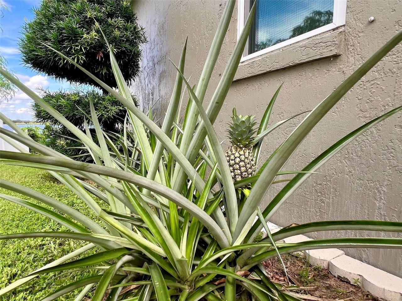 441 Archaic Drive, Winter Haven, FL 33880 Photo