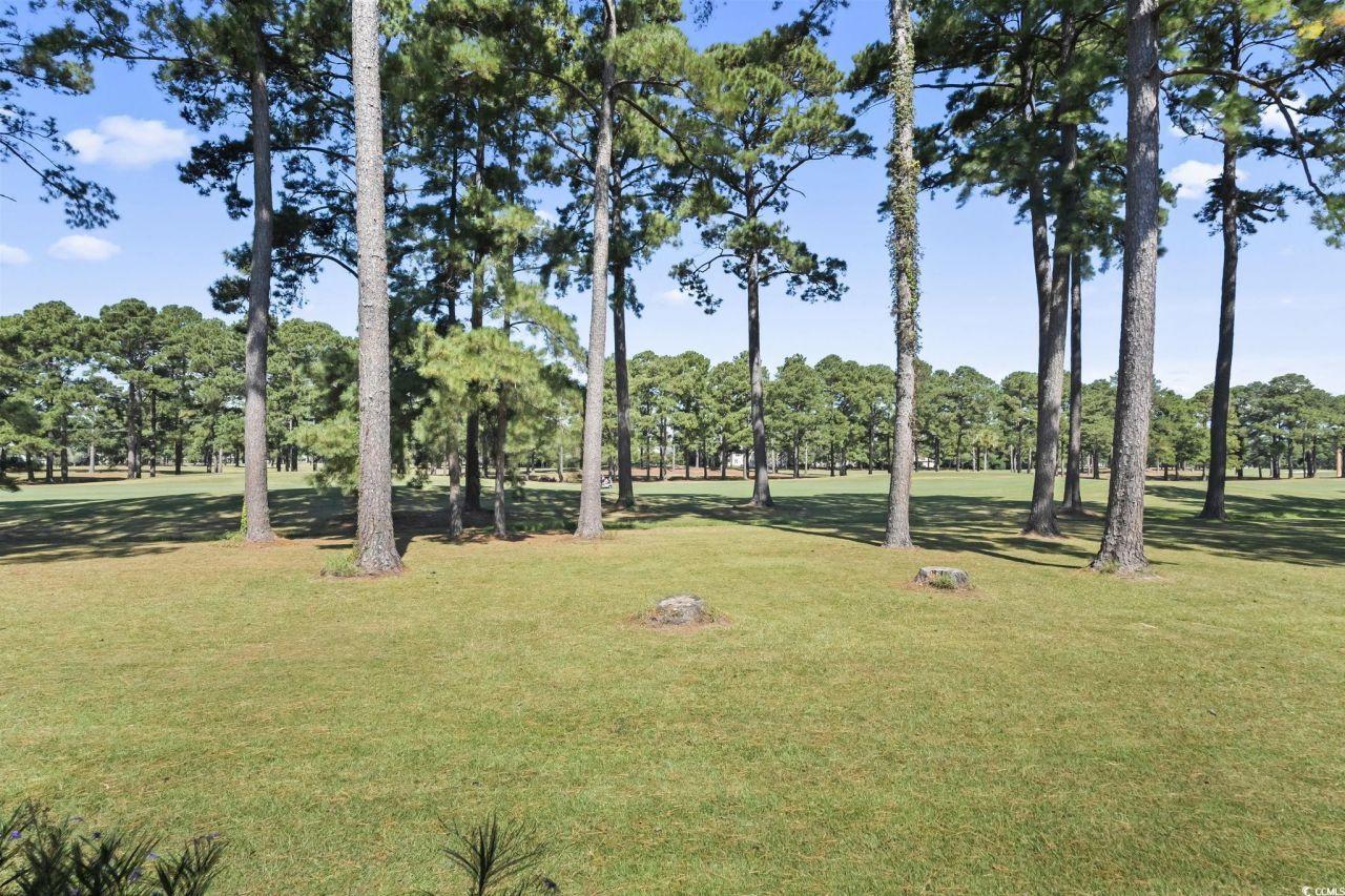 3015 Old Bryan Dr. Photo 27