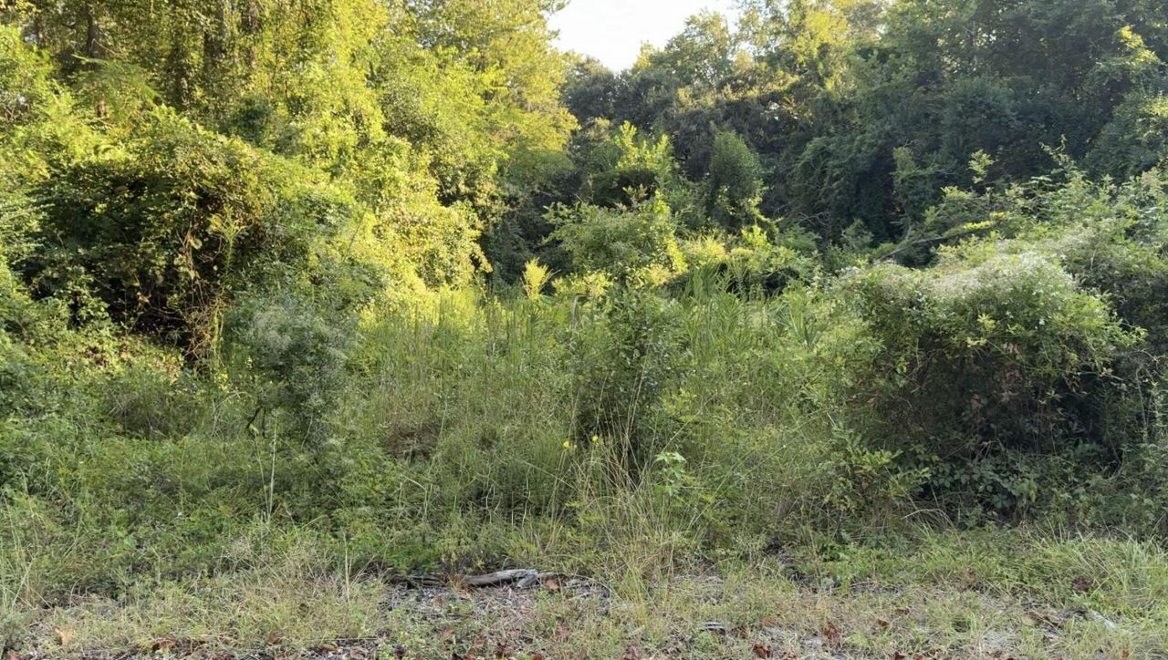 909 Black Street Photo 1