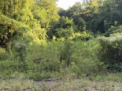 909 Black Street, Walterboro, SC 29488