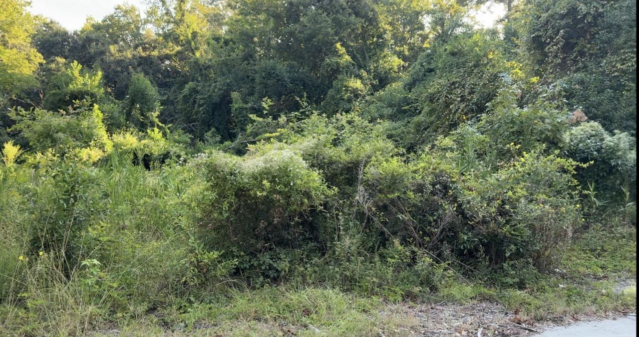 909 Black Street Photo 2