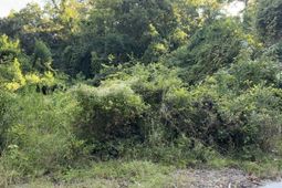 909 Black Street photo 4