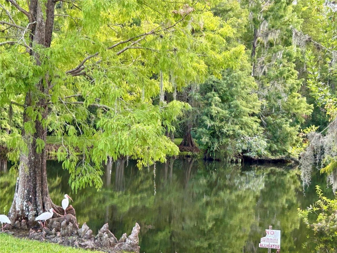 1112 Feather Lane, Bowling Green, FL 33834 Photo