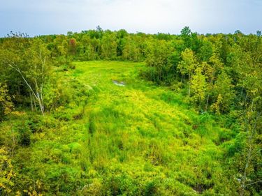 12479 Battle Road NE, Blackduck, MN 56630