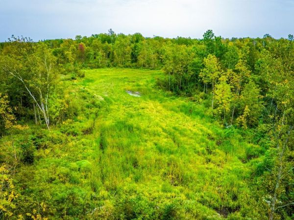 12479 Battle Road NE, Blackduck, MN 56630