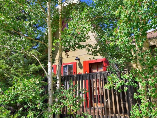 1155 CO Rd 6, Alma, CO 80420