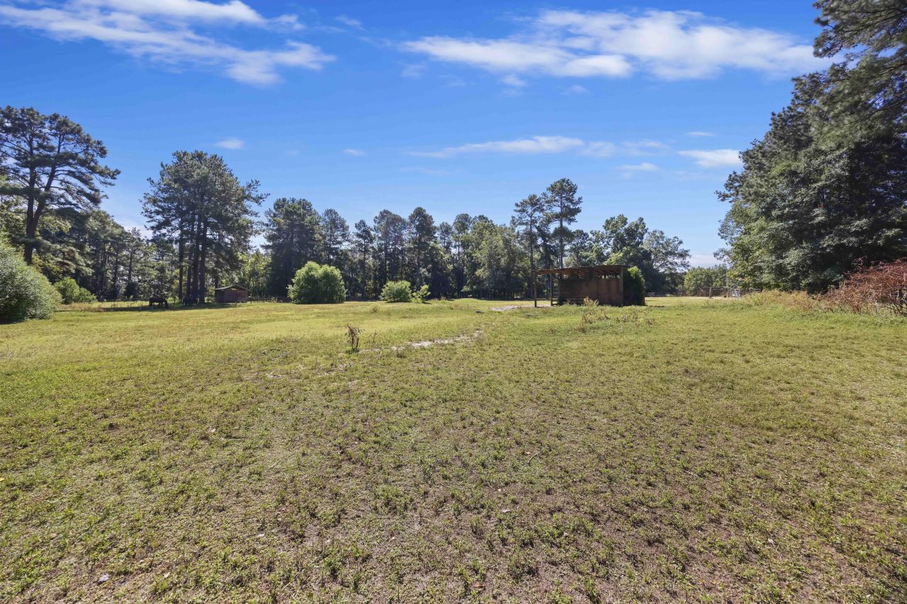 120 Rancho Hippey Way Photo 5