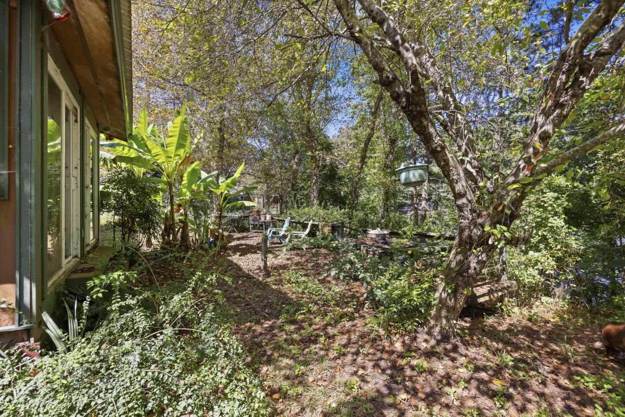 120 Rancho Hippey Way Photo 6