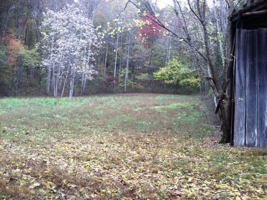 Property Image 8