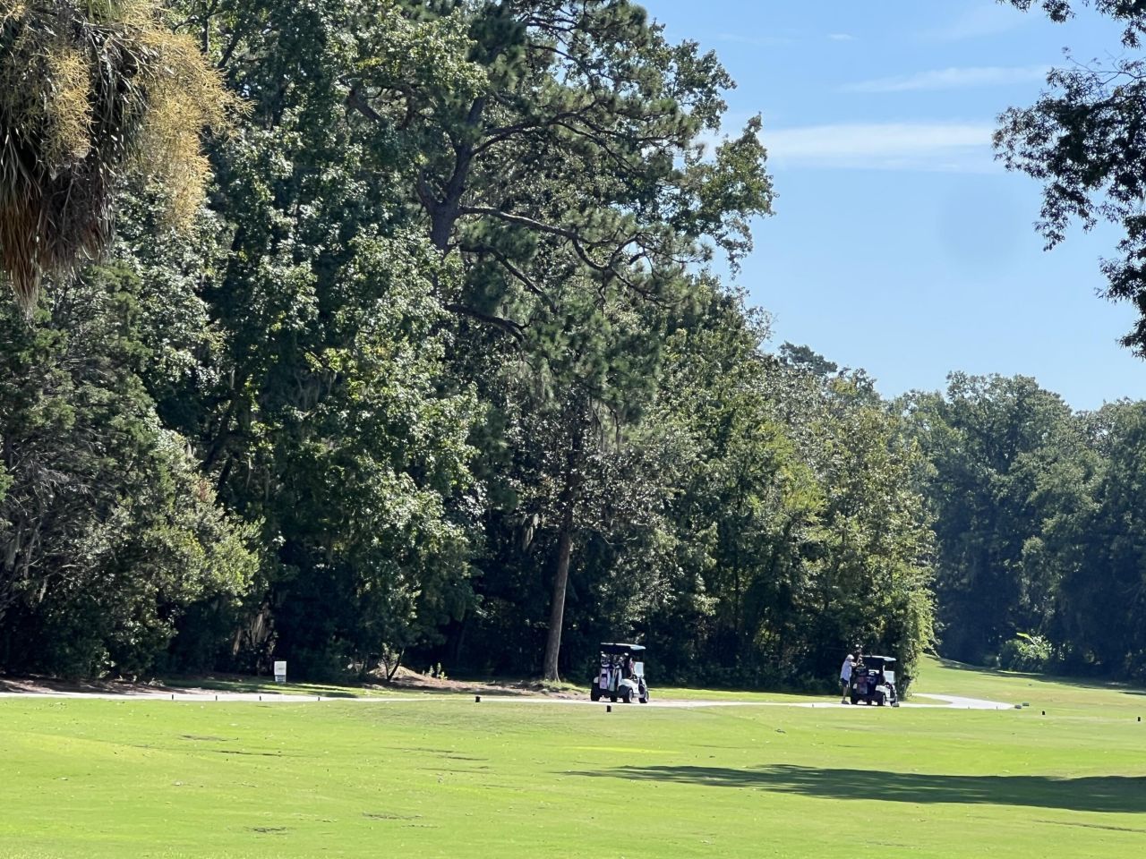 213 Harlech Way Photo 67