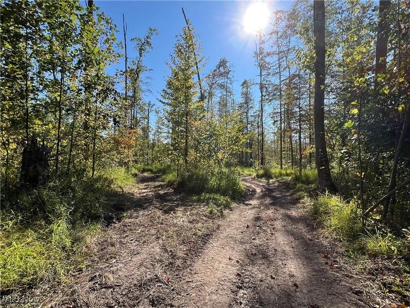 1749 Black Sea Road, Jefferson, OH 44047 Photo 1