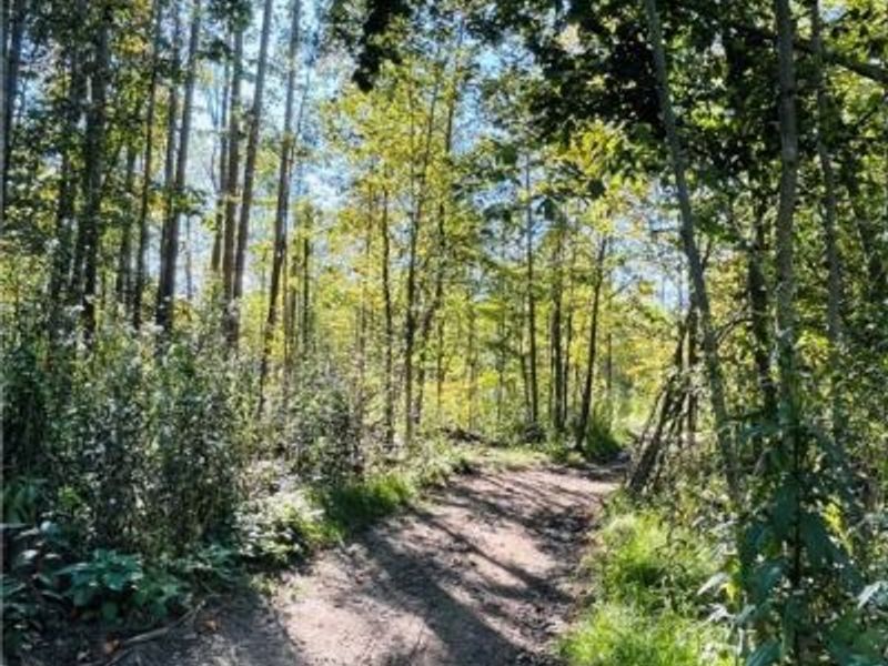 1749 Black Sea Road, Jefferson, OH 44047 Photo 10