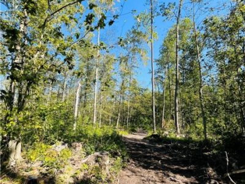 1749 Black Sea Road, Jefferson, OH 44047 Photo 2