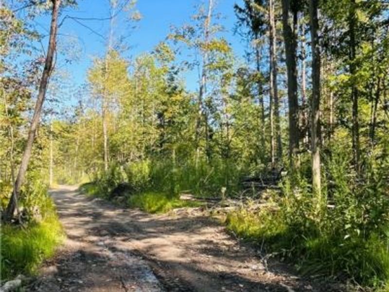 1749 Black Sea Road, Jefferson, OH 44047 Photo 3