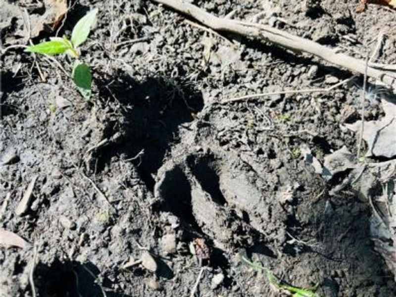 1749 Black Sea Road, Jefferson, OH 44047 Photo 4