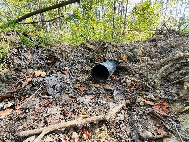 1749 Black Sea Road, Jefferson, OH 44047 Photo 7