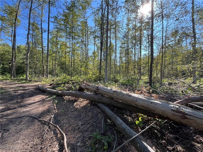 1749 Black Sea Road, Jefferson, OH 44047 Photo 9