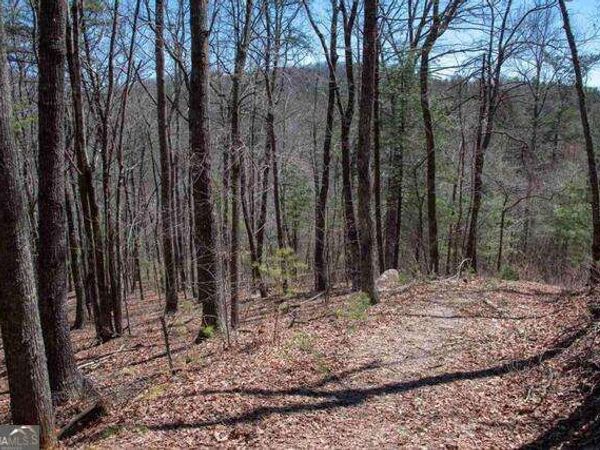 0 Round Top, Unit 43B, Clayton, GA 30525