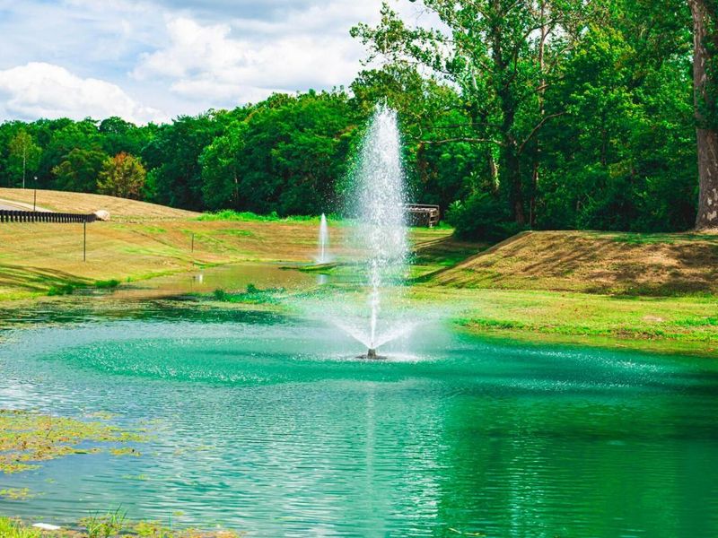 557 Eastman Avenue, Lithopolis, OH 43136 Photo 29