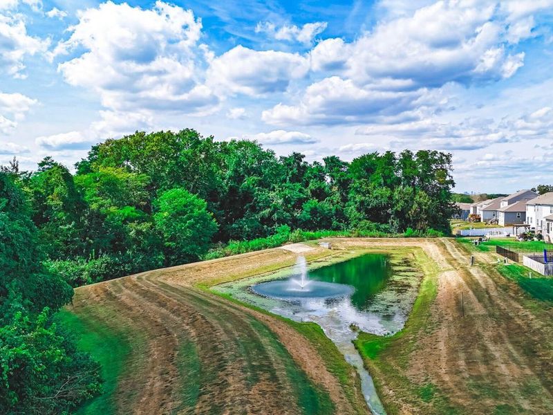 557 Eastman Avenue, Lithopolis, OH 43136 Photo 30