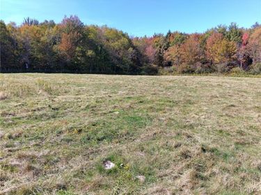 part of 1991 Kotary Road, Constableville, NY 13325