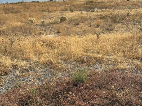 125 Parker Gultch Road, Shoshone, ID 83352