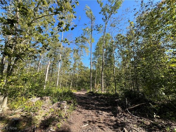 0000 Black Sea Road, Jefferson, OH 44047