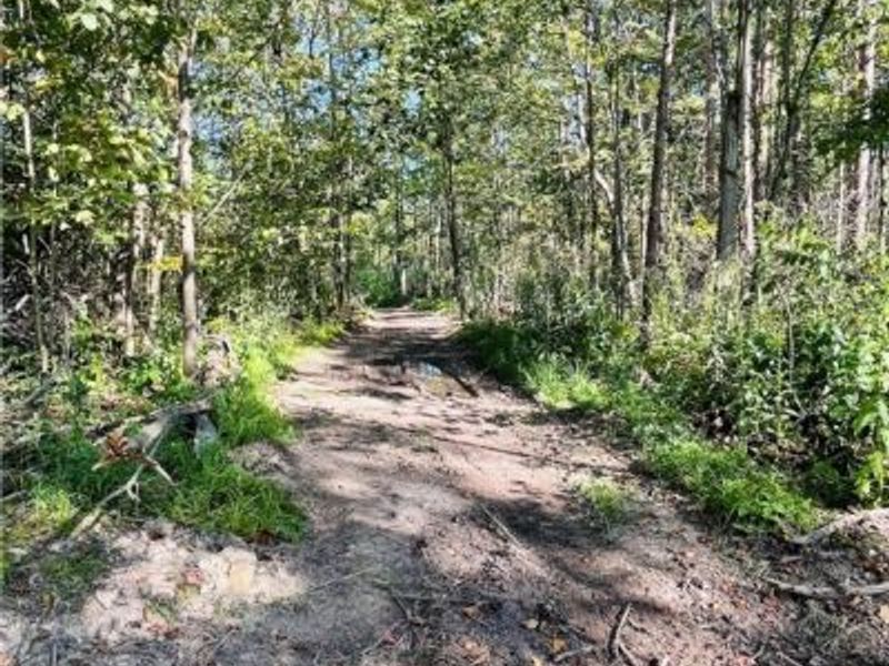 0000 Black Sea Road, Jefferson, OH 44047 Photo 10